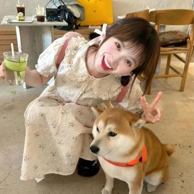 偷心俏冤家